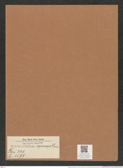 Actinoptychus capensis Gurn. (de-Toni-Nr.: Genus 227, Species 5577) Zeichnungen Sammlung Grunow Mappe 05330 (Herbarium_W_Grunow_drawings_Folder_05330)